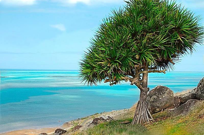 L'Heritage - Vue Sur Mer Bambou Dış mekan fotoğraf